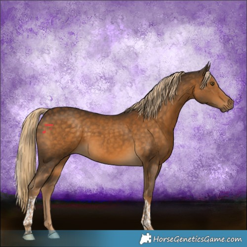 Horse Color:Chocolate Palomino Tobiano Rabicano 