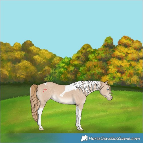 Horse Color:Perlino Tobiano