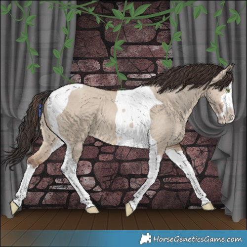 Horse Color:Sable Champagne Dun Splash Tobiano