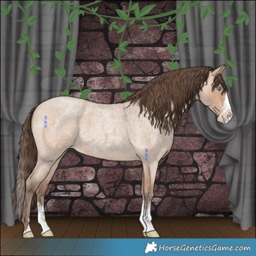 Horse Color:Amber Champagne Roan Sabino Splash Appaloosa 