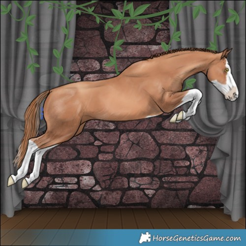 Horse Color:Gold Champagne Splash 