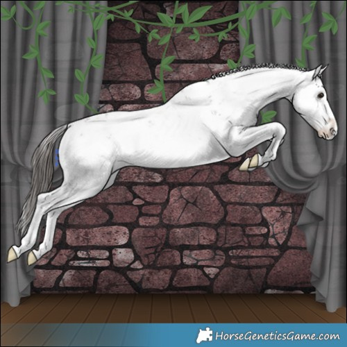 Horse Color:Bay Sabino Splash Appaloosa 