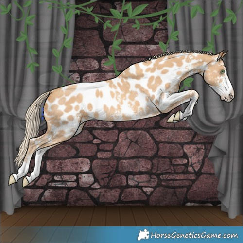 Horse Color:Gold Cream Champagne Sabino Near Leopard