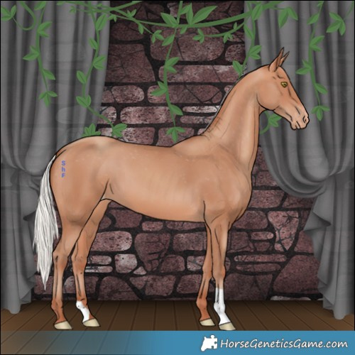 Horse Color:Silver Amber Champagne Appaloosa 