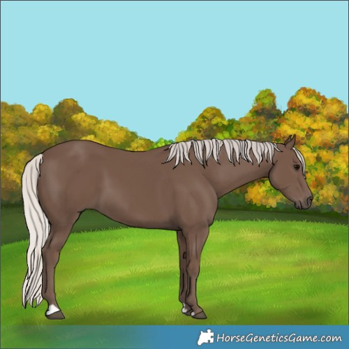 Horse Color:Silver Black 