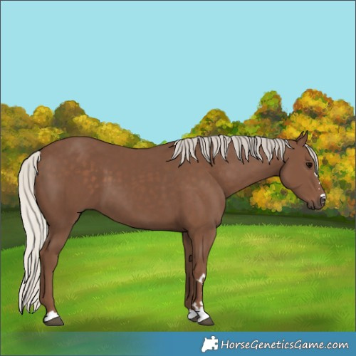 Horse Color:Silver Black 