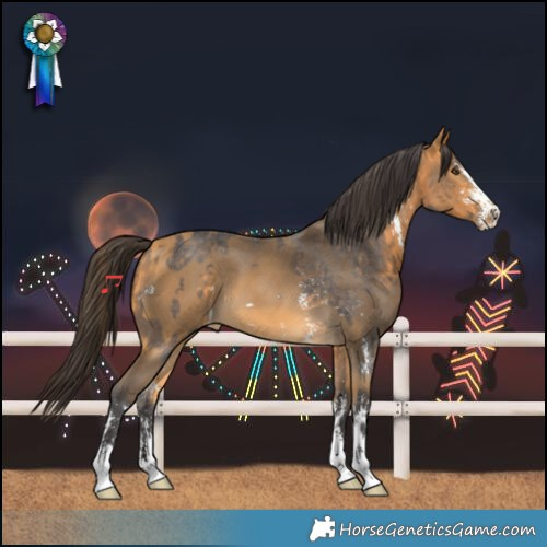 Horse Color:Buckskin Sabino  and Buckskin Sabino 