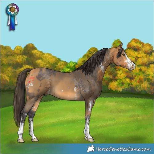 Horse Color:Buckskin Sabino and Buckskin Sabino