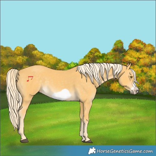 Horse Color:Palomino Frame 