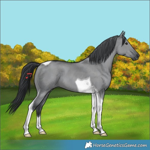 Horse Color:Grullo Chinchilla Tobiano 