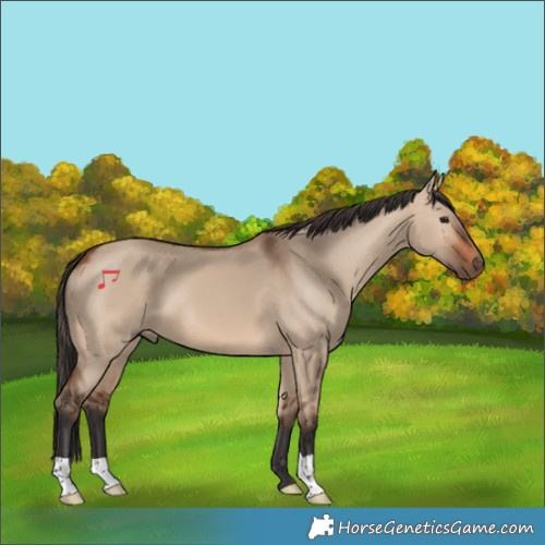 Horse Color:Bay Dun