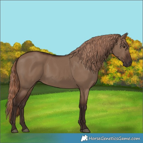 Horse Color:Liver Red Dun 