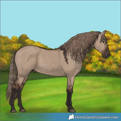 Horse Color:Liver Red Dun 