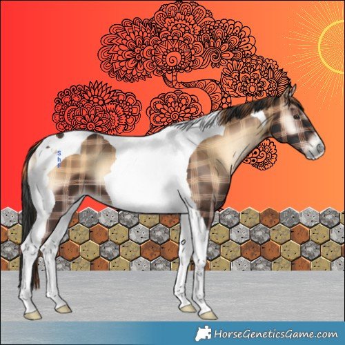 Horse Color:Plaid  Liver Red Onyx Tobiano 