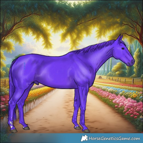 Horse Color:Watercolor Black