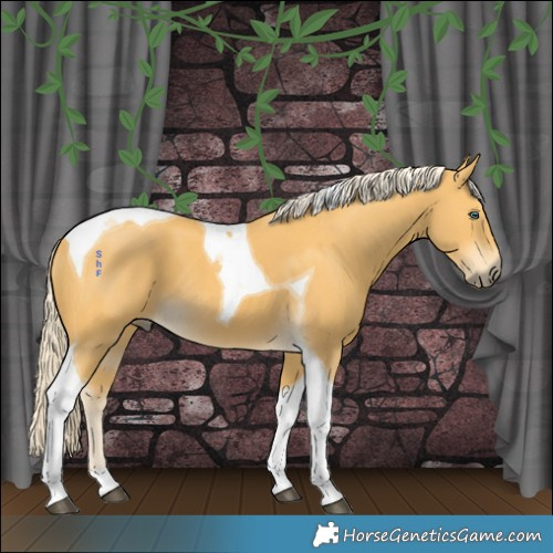 Horse Color:Palomino Tobiano