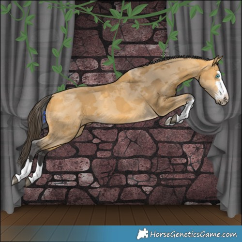 Horse Color:Buckskin Merle 