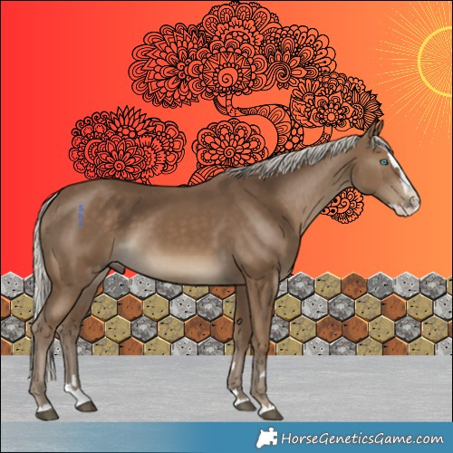 Horse Color:Silver Smoky Black Splash 