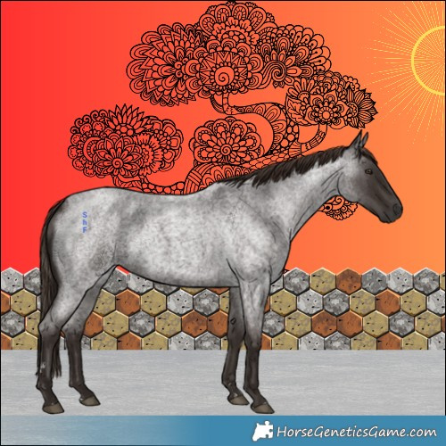 Horse Color:Liver Red Roan 