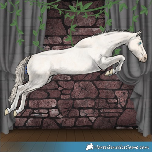 Horse Color:Perlino Roan Merle