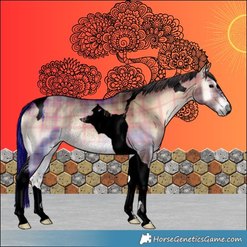 Horse Color:Void Plaid  Brown Onyx Tobiano Rabicano 