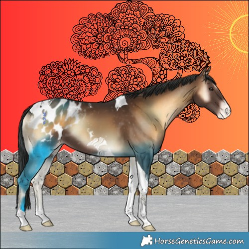Horse Color:Liver Red Onyx Tobiano Appaloosa