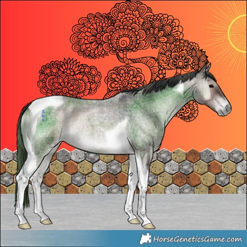 Horse Color:Plaid  Blue Onyx Roan Tobiano 