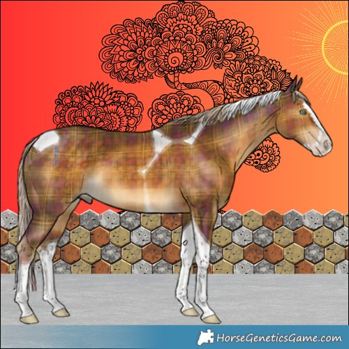 Horse Color:Plaid Chocolate Palomino Splash Tobiano