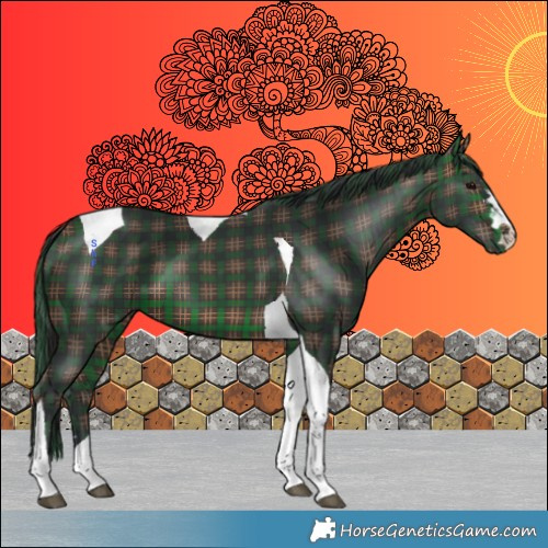 Horse Color:Plaid Brown Tobiano