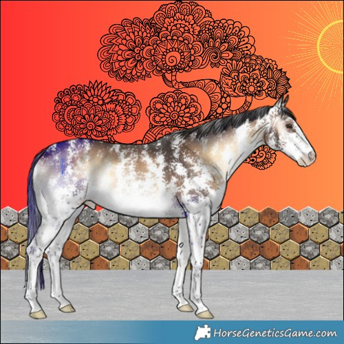 Horse Color:Liver Red Onyx Sabino