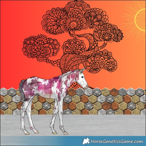 Horse Color:Plaid White Spotted Brown Dun Splash