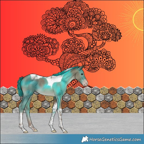 Horse Color:Classic Champagne Tobiano
