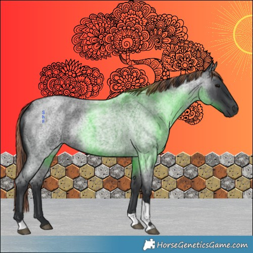 Horse Color:Painted Blue Roan Tobiano