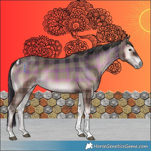 Horse Color:Plaid  Blue Onyx Tobiano 