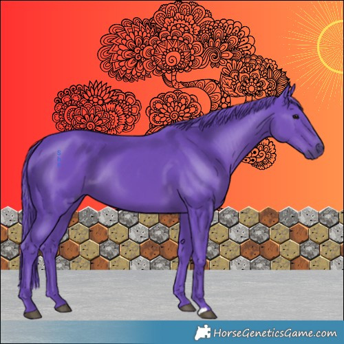 Horse Color:Watercolor Smoky Black 