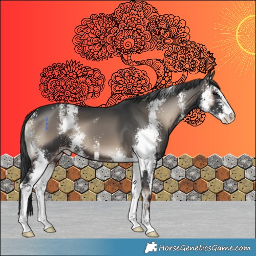 Horse Color:Blue Onyx Sabino 
