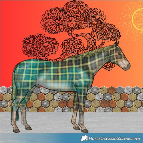 Horse Color:Plaid  Liver Chestnut 