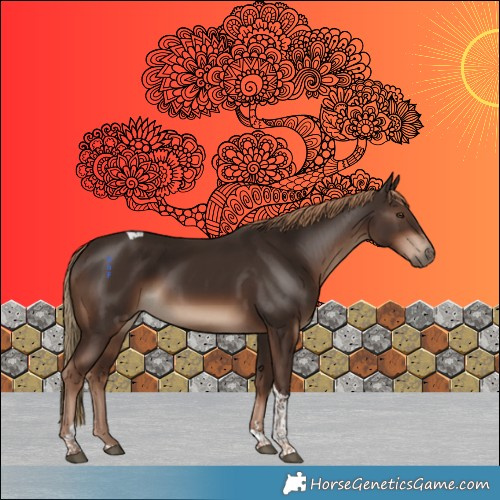 Horse Color:Liver Chestnut Tobiano 