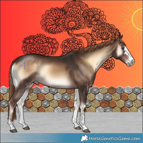 Horse Color:Liver Red Onyx 