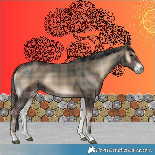 Horse Color:Plaid  Blue Onyx Rabicano 