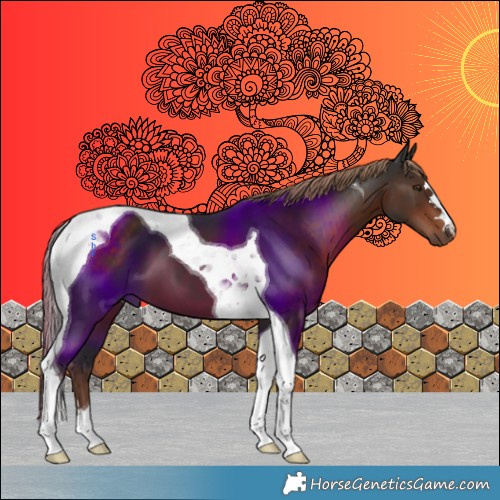 Horse Color:Liver Chestnut Tobiano 