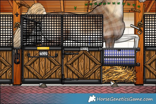 Horse Color:Plaid  Red Onyx Sabino 