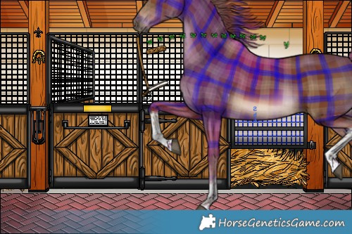 Horse Color:Plaid  Chestnut Tobiano 