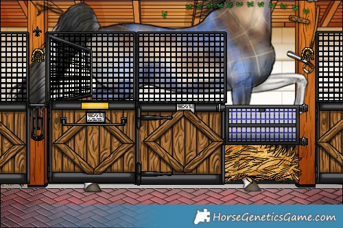 Horse Color:Plaid  Liver Red Onyx Tobiano Rabicano 