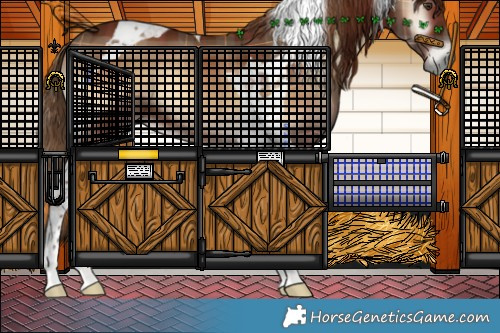 Horse Color:Plaid  Red Onyx Tobiano 