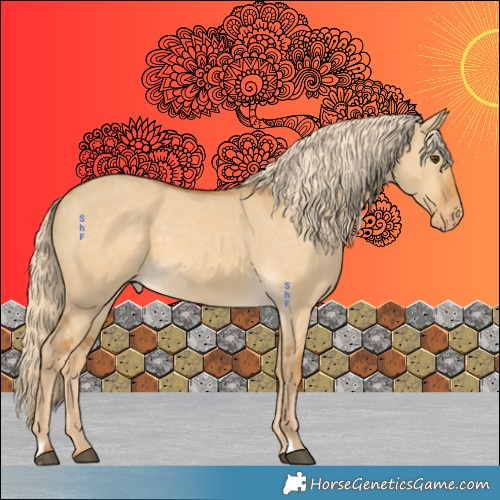 Horse Color:Palomino Dun Appaloosa 