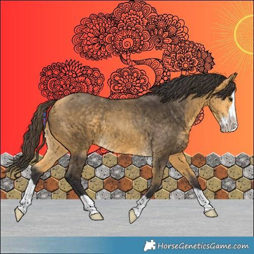 Horse Color:Buckskin Splash 