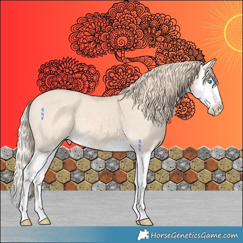 Horse Color:Perlino Splash Appaloosa 
