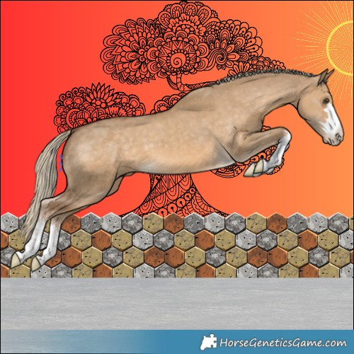 Horse Color:Chocolate Palomino Dun Appaloosa 