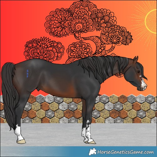 Horse Color:Brown 